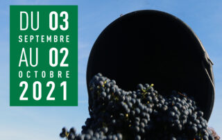 Domaine Olivier de Serres – Grape picker for one day Domaine Olivier de Serres – Grape picker for one day