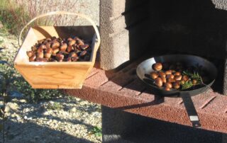 Village de gîtes les Bastides d'Helvie