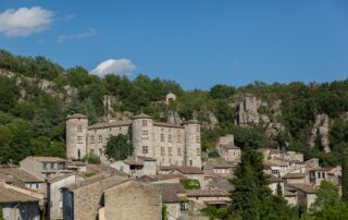 Castle of Vogüé