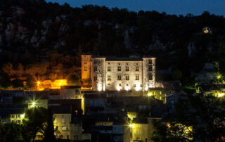 Castle of Vogüé