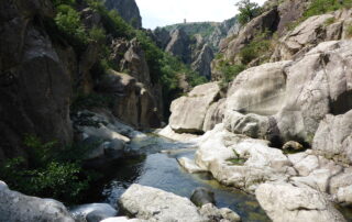 Canyoning gorge du Chassezac à la Garde-Guérin