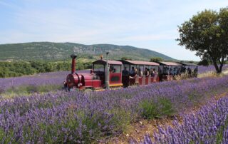 Tour en train