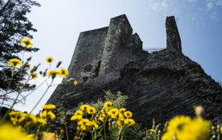 Animation au château de Rochemaure