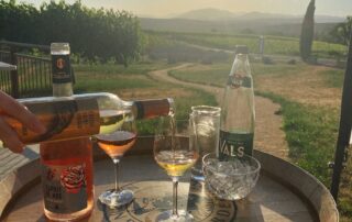 Caveau éphémère du Domaine Terra Noé