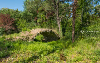 Roman bridge