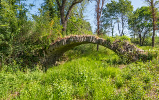 Roman bridge