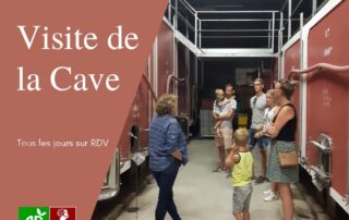 Visite de la cave - Gaec du Mas d'Intras