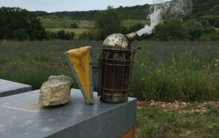 Visite de l'oliveraie et de la miellerie de l’Oliveraie de la Bastide