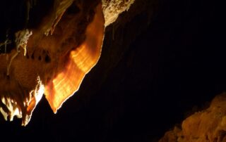 Grotte Forestière draperies