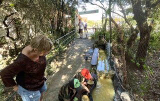 Grotte Forestière La rivière des chasseurs de cristaux avec public