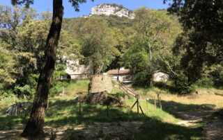 Canoë - Kayak de Vallon à St Martin d'Ardèche - 30 km / 1 jour avec Canoës Service