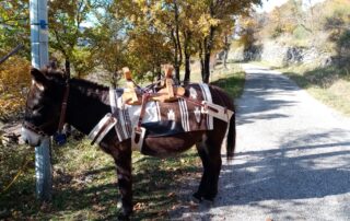 Go for a trip with donkeys of Camin’âne