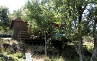 Chalets d’Arbres – Green chalet 4 people