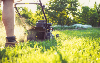 Entretien du jardin - Oka Conciergerie.png
