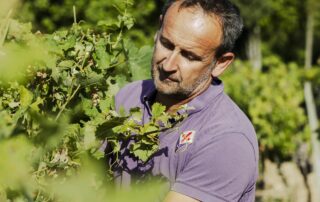 Stéphane dans les vignes