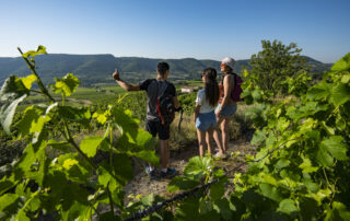 L’été au Caveau de Valvignères: Visite de Cave