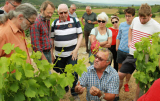 Randonnée commentée du sentier de la biodiversité & dégustation gourmande au Domaine Terra Noé Randonnée commentée du sentier de la biodiversité & dégustation gourmande au Domaine Terra Noé