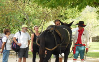 Sur les pas des Muletiers Sur les pas des Muletiers