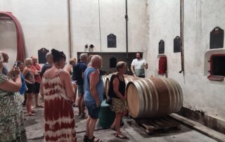 Visite Dégustation au domaine du Colombier