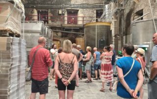 Visite Dégustation au domaine du Colombier