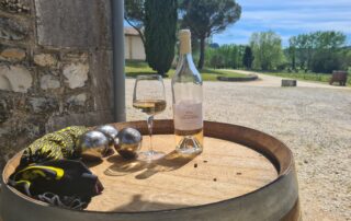 Un rosé et une pétanque au domaine du Colombier