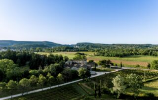 Un rosé et une pétanque au domaine du Colombier