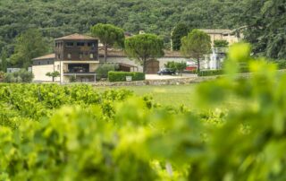 Le domaine vu des vignes