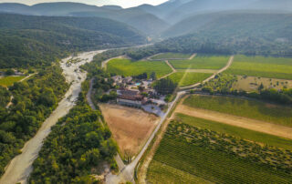 Visite & Dégustation au Domaine de Vigier