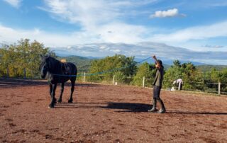 Equestrian farm Le Relais de Vazeille