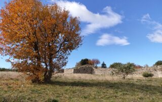 Oppidum de Jastres en Ardèche en automne