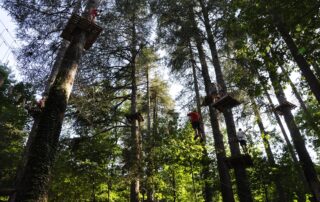 Accrobranche Ardèche