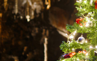 Ouverture vacances de Noël à l'Aven d'Orgnac