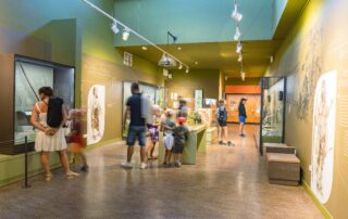 Ouverture vacances de Noël à l'Aven d'Orgnac