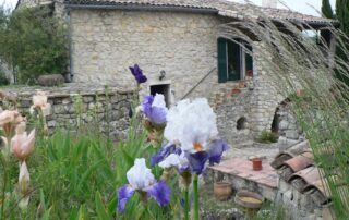 Bed and breakfast equestrian farm Le Relais de Vazeille