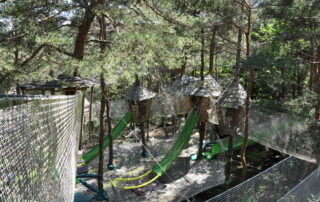 Bois des musiciens Ardèche