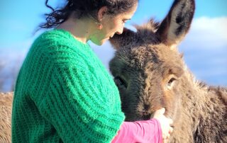 Cosmetic products with donkey milk from camin’âne