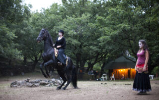 Equestrian activities with Eqi Harmonie