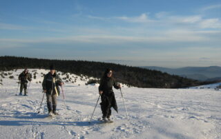 Randonnées pédestres accompagnées avec Ardèche Randonnées