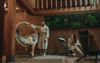 L'offre de soins du SPA Séquoia Redwood