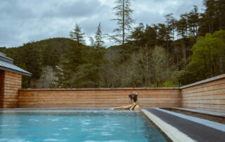 L'offre de soins du SPA Séquoia Redwood