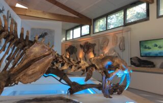 Natural history museum of Ardèche : fossils and dinosaurs