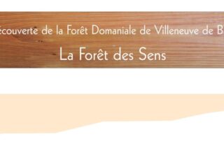 Foret des Sens - Panneau intitulé