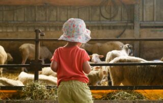 From Farm to Farm throughout the Ardèche