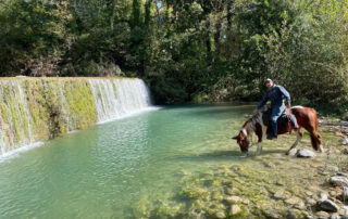 Tour Berg & Coiron à Cheval St Maurice d'Ibie - Alba