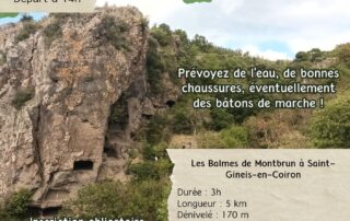 Guided paleodiscovery walk to the Balmes de Montbrun