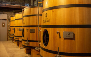Caveau éphémère du Domaine Terra Noé