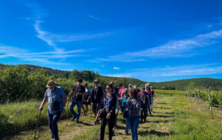 Randonnée commentée du sentier de la biodiversité & dégustation gourmande au Domaine Terra Noé