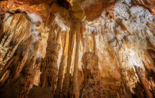 Grotte de la Madeleine