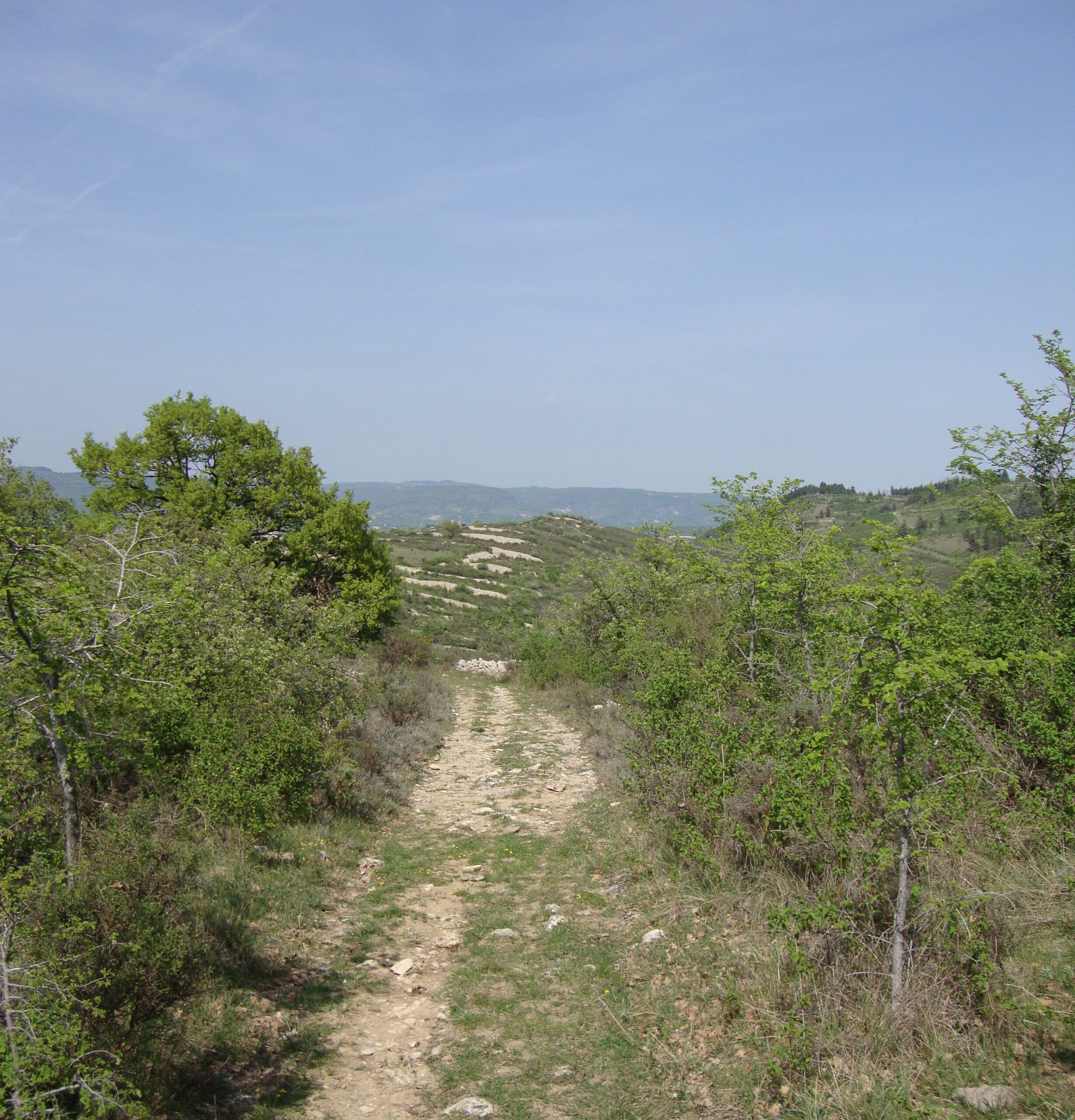 Circuit "Voie Royale et crêtes de Berg" à Villeneuve de Berg