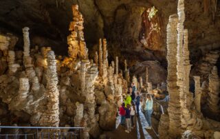Aven d'Orgnac Grand Site de France, visit the cave and the Cité de la Préhistoire (Prehistoric City)